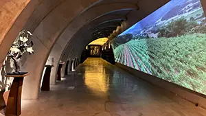 Bodega Agustí Torelló Mata