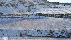 Bodegas Belazos