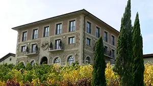 Bodega Luis Cañas