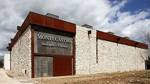 Bodega Montecastro