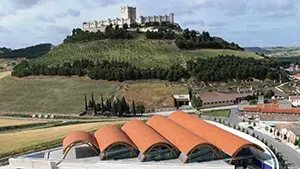 Bodega Protos