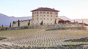 Bodega Vintae