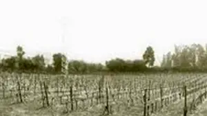 Bodegas Valdesil Galicia